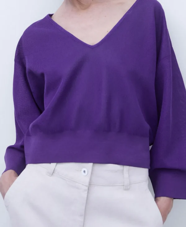 Adolfo Dominguez Malhas | Camisola Com Gola Em V Roxo